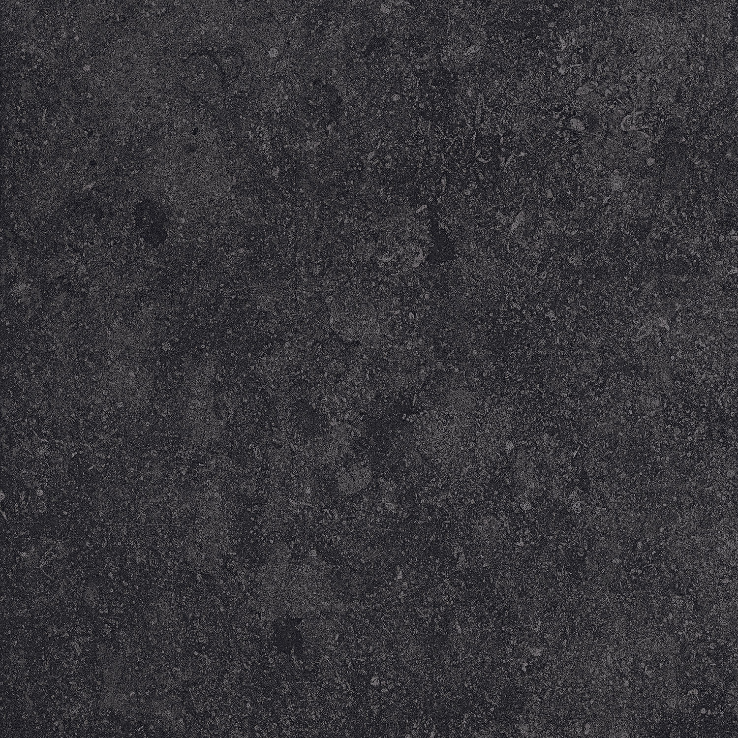 FOSSIL BLACK tile face 4